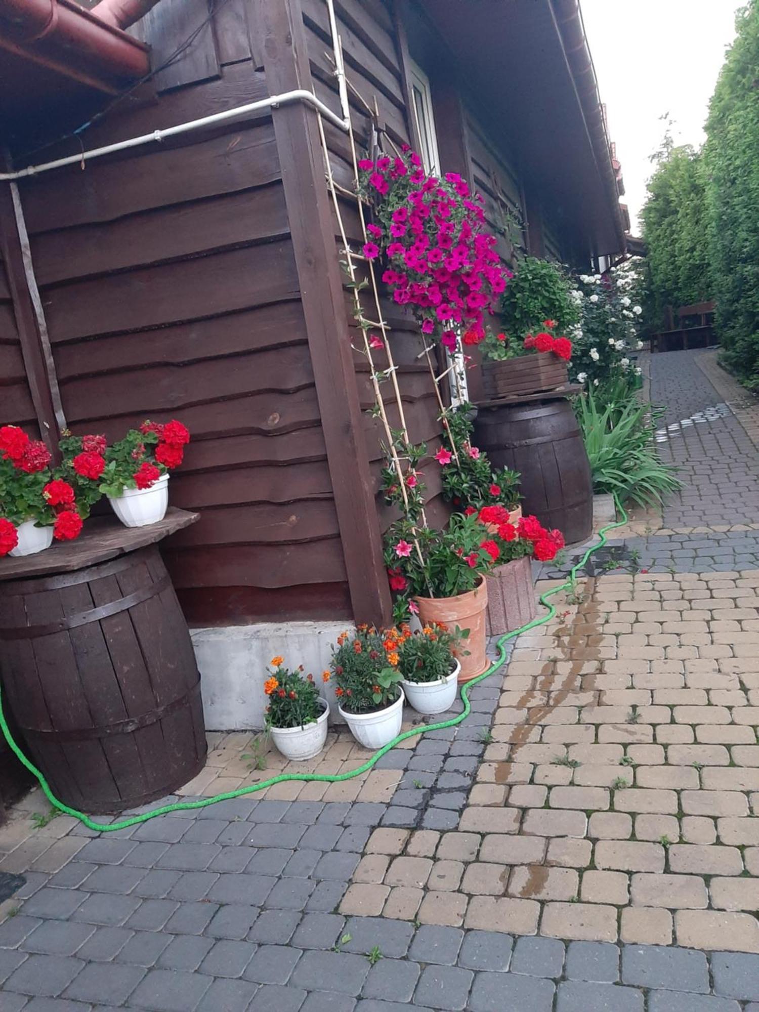 Ferienwohnung Zielone Zacisze Zagnansk Exterior foto