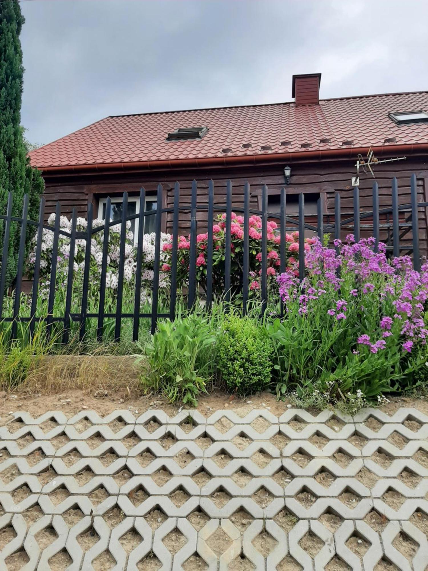 Ferienwohnung Zielone Zacisze Zagnansk Exterior foto