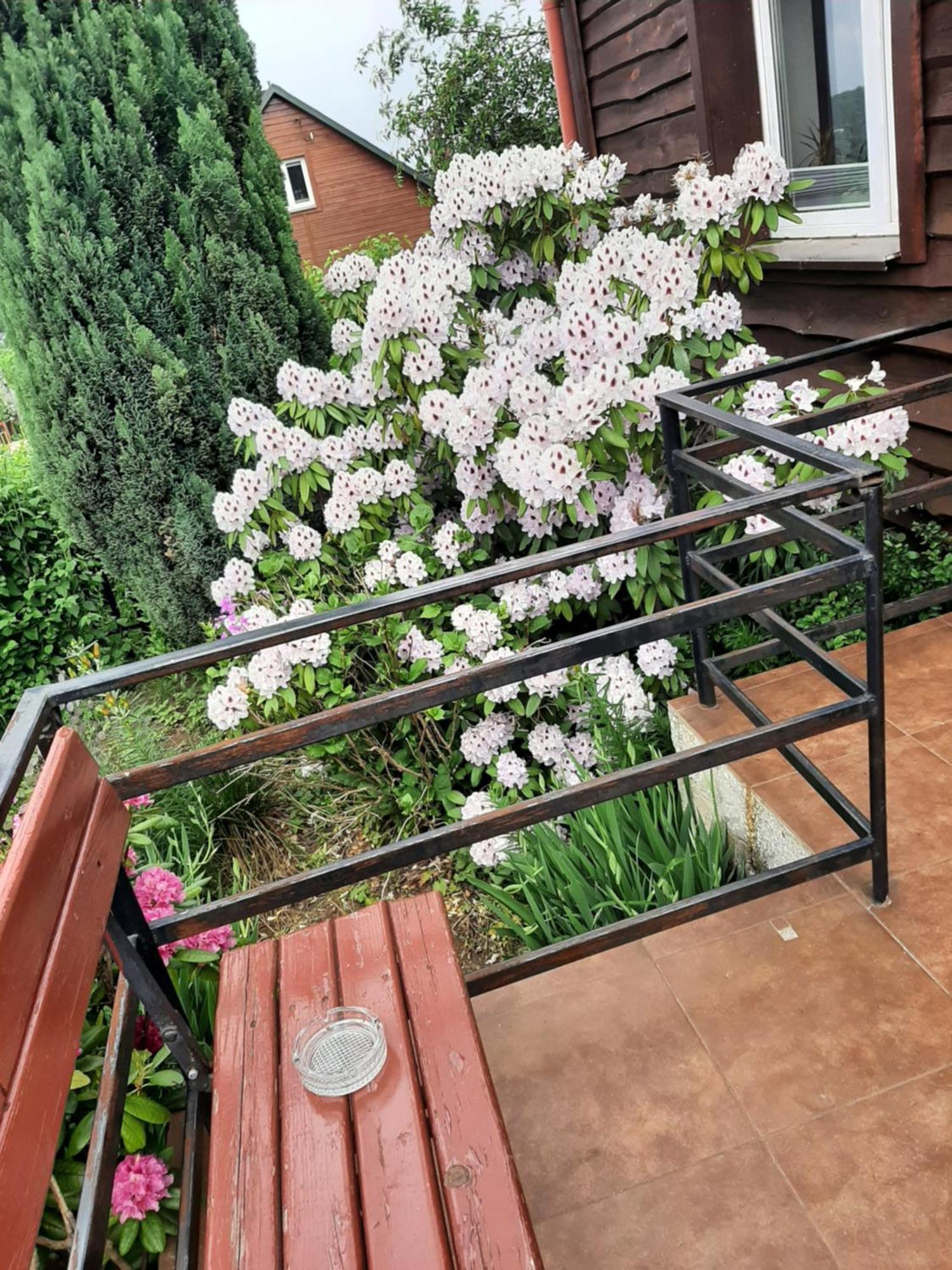Ferienwohnung Zielone Zacisze Zagnansk Exterior foto