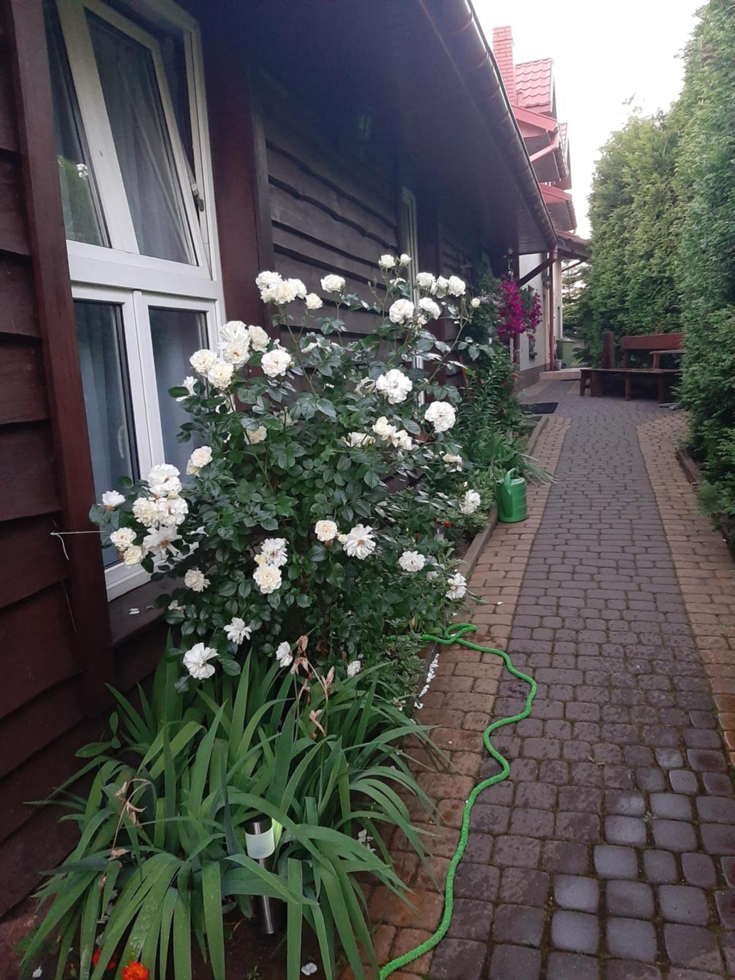 Ferienwohnung Zielone Zacisze Zagnansk Exterior foto